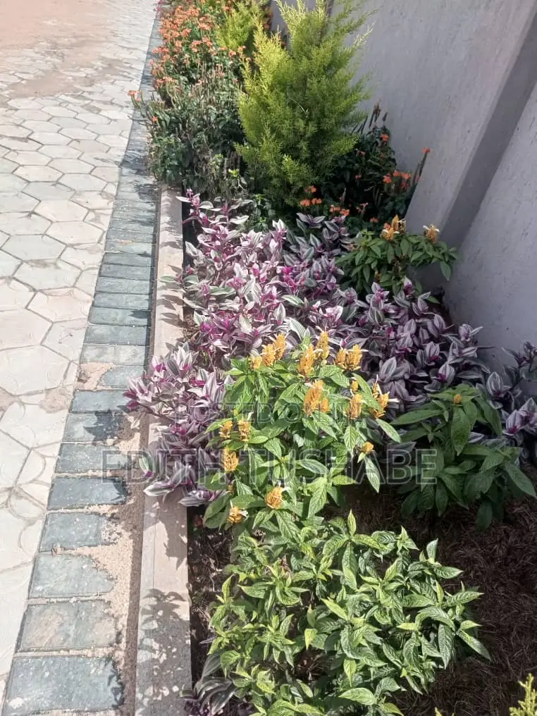 Compound Designing