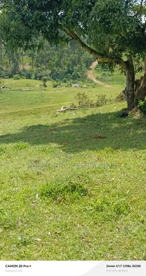 Estate in Nyakagongo, Fort Portal City.