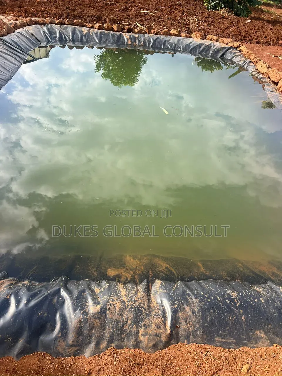 Damliner/Pondliner