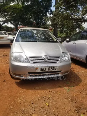 Toyota Allex 2006 Silver