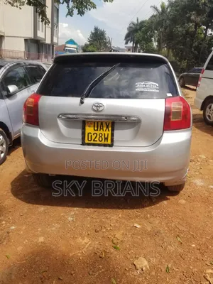 Toyota Allex 2006 Silver