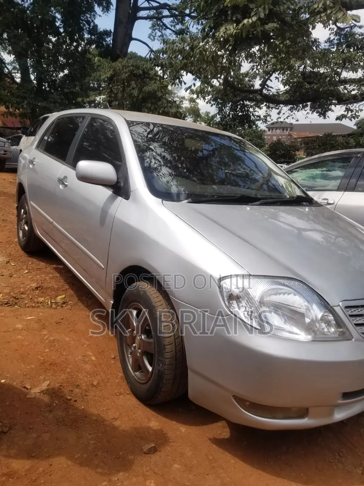 Toyota Allex 2006 Silver