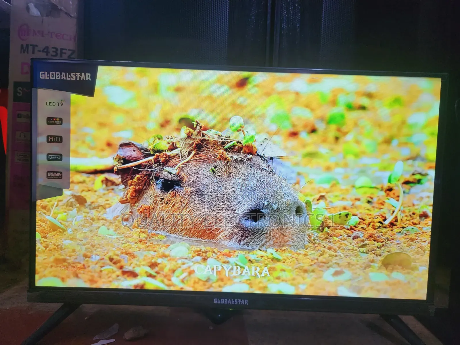 Globalstar 24 Inches Free to Air Tv