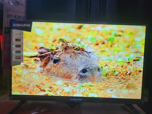 Globalstar 24 Inches Free to Air Tv