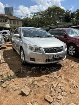 Toyota Corolla Fielder 2007 Silver