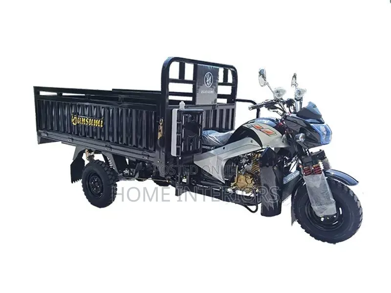 Tuktuk Black Colour