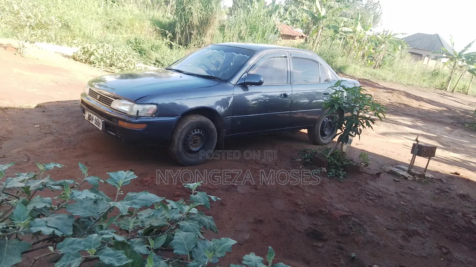 Toyota Corolla 1998 Gray