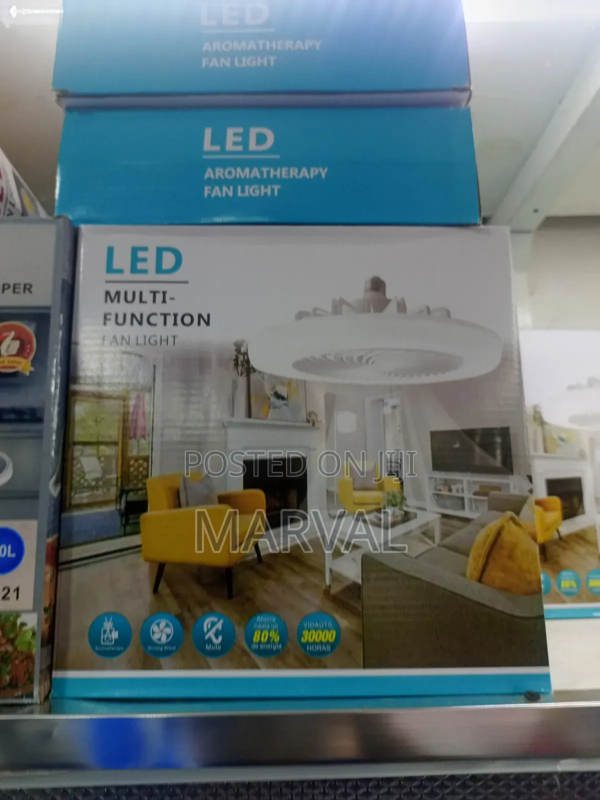 Led Multi-Function Fan Light