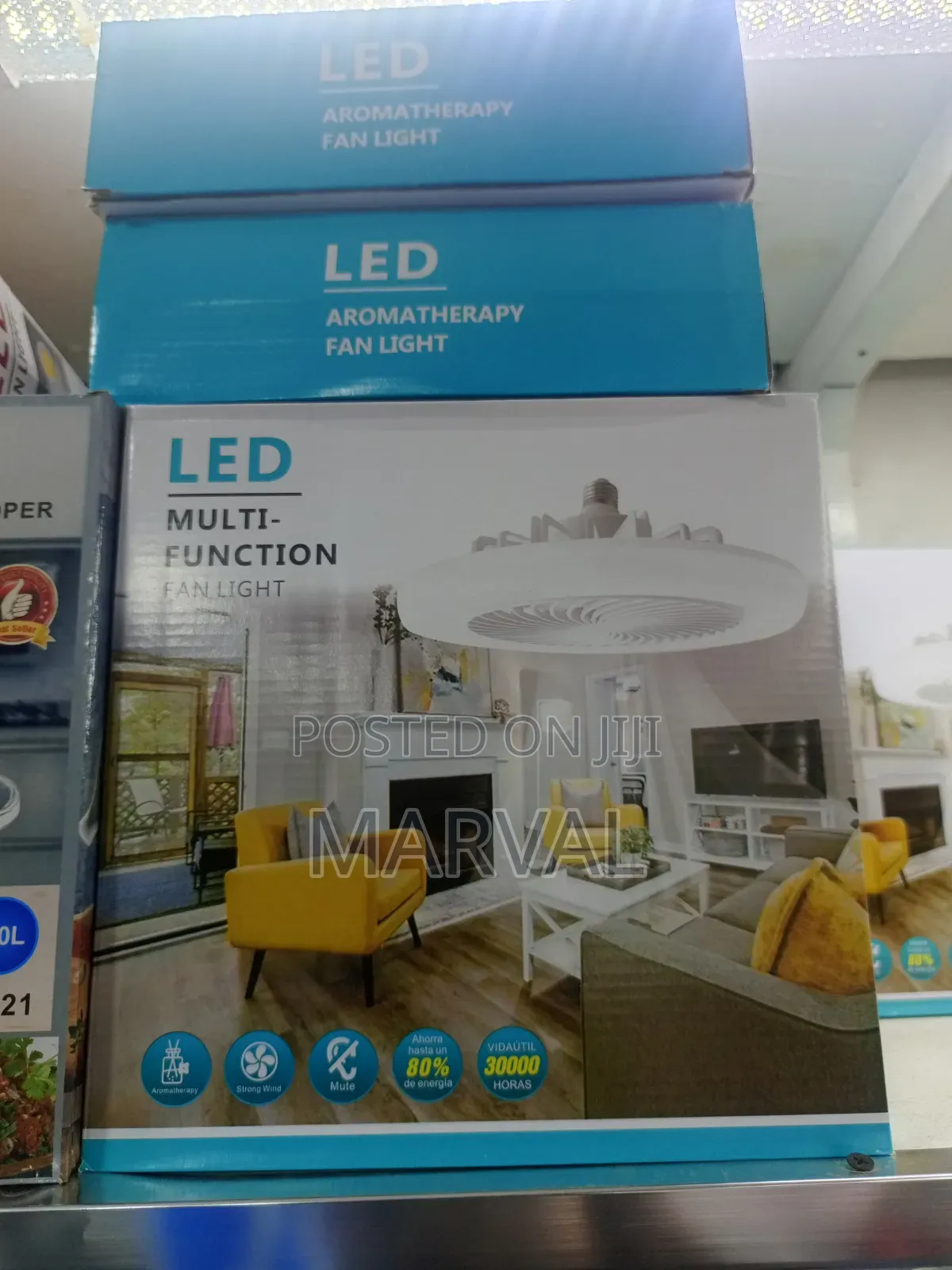 Led Multi-Function Fan Light