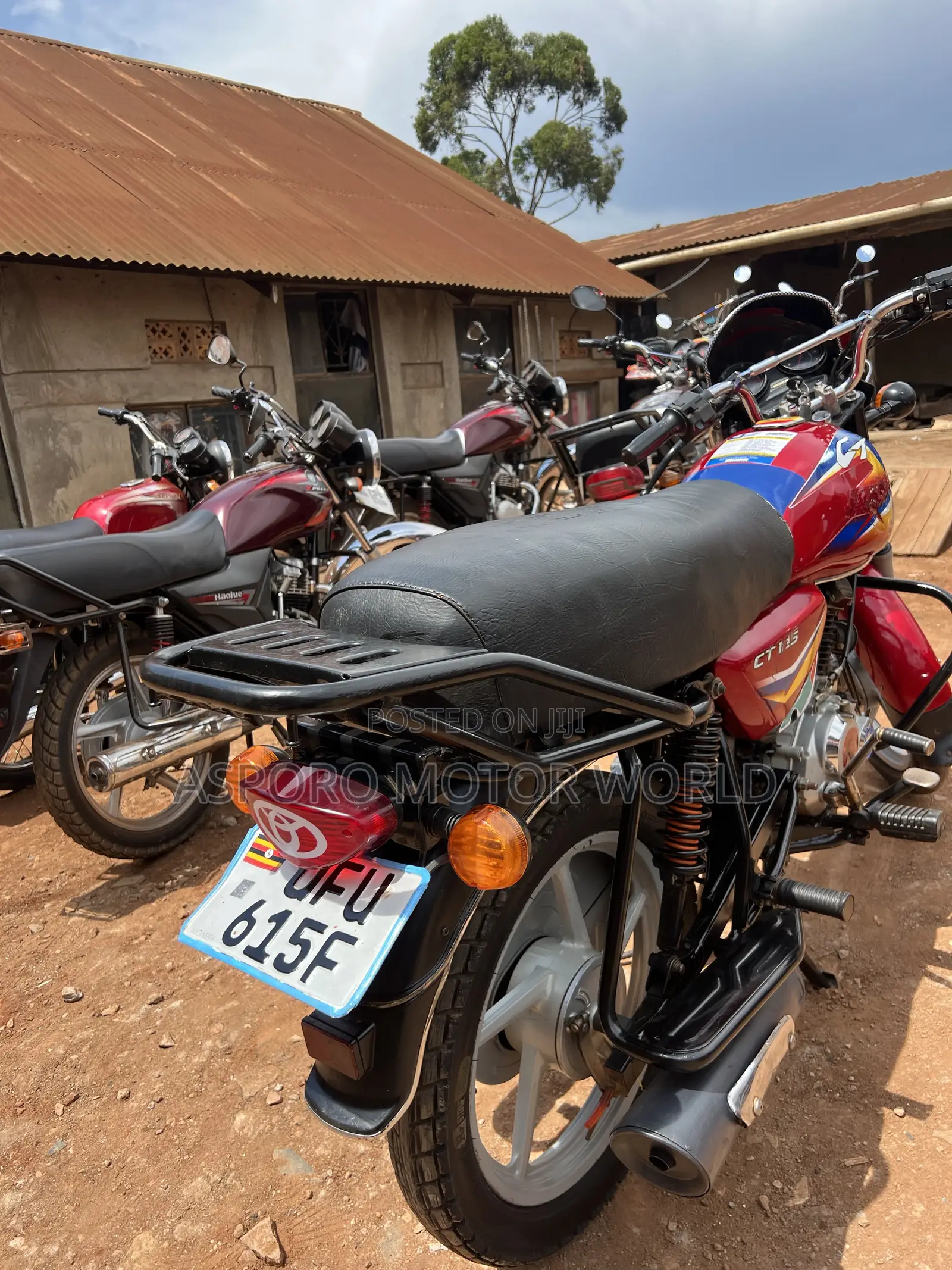 Bajaj CT 125X 2023 Pink