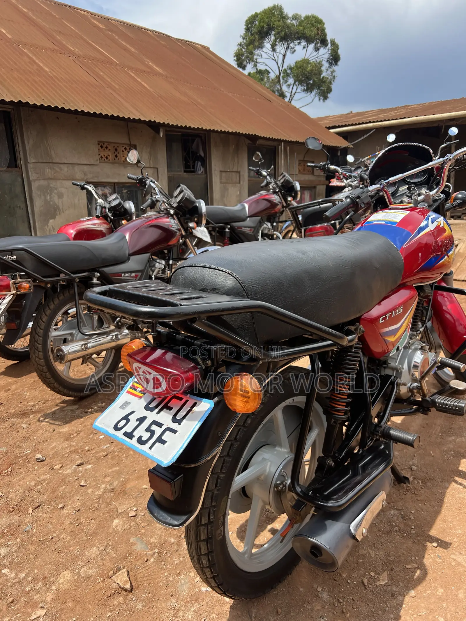 Bajaj CT 125X 2023 Pink
