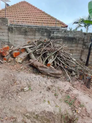 Firewood For Cooking And Burning Bricks