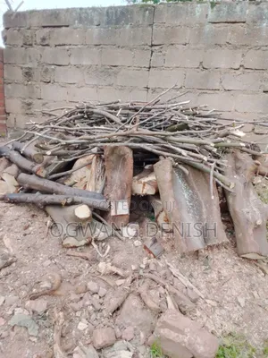 Firewood For Cooking And Burning Bricks