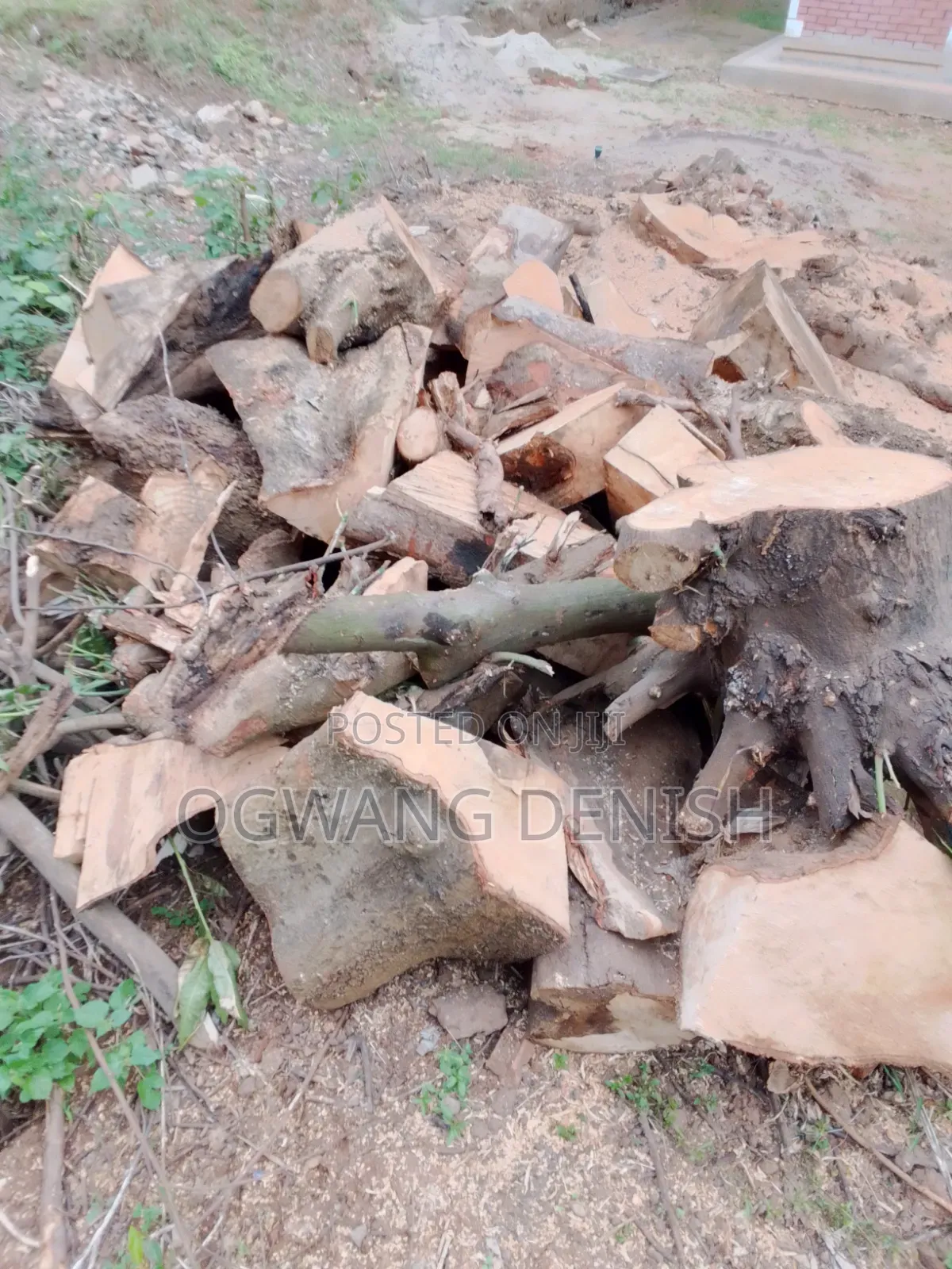 Firewood For Cooking And Burning Bricks