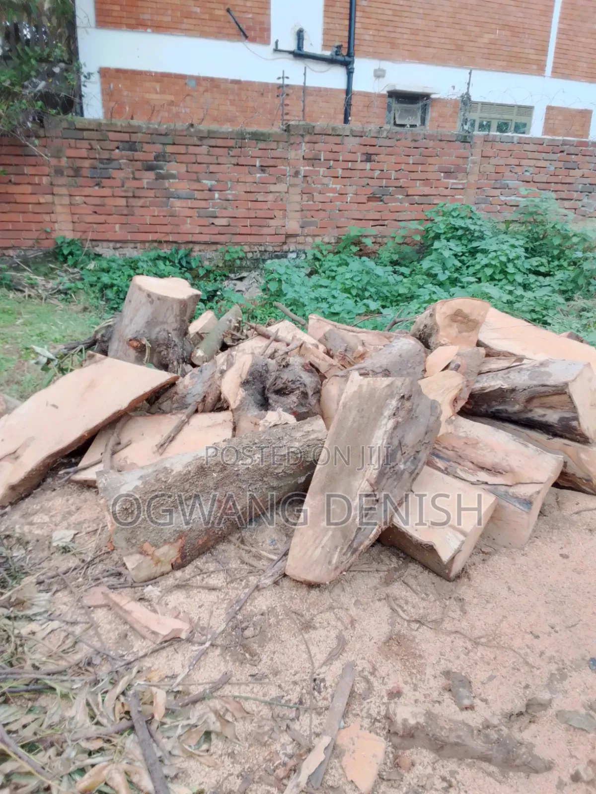 Firewood For Cooking And Burning Bricks