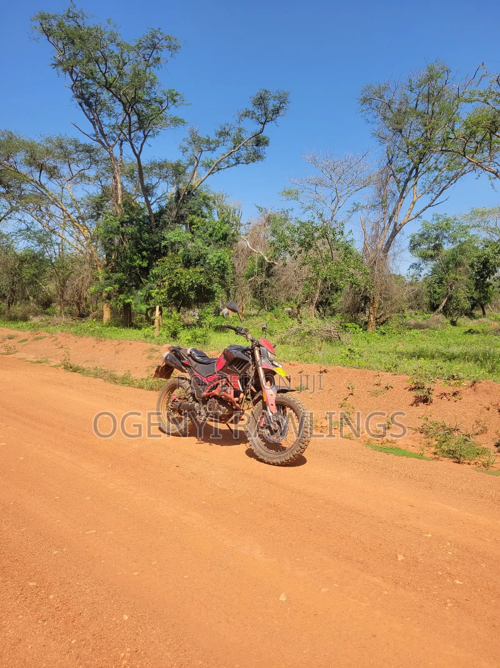 Simba Tekken 250cc 2023 Red