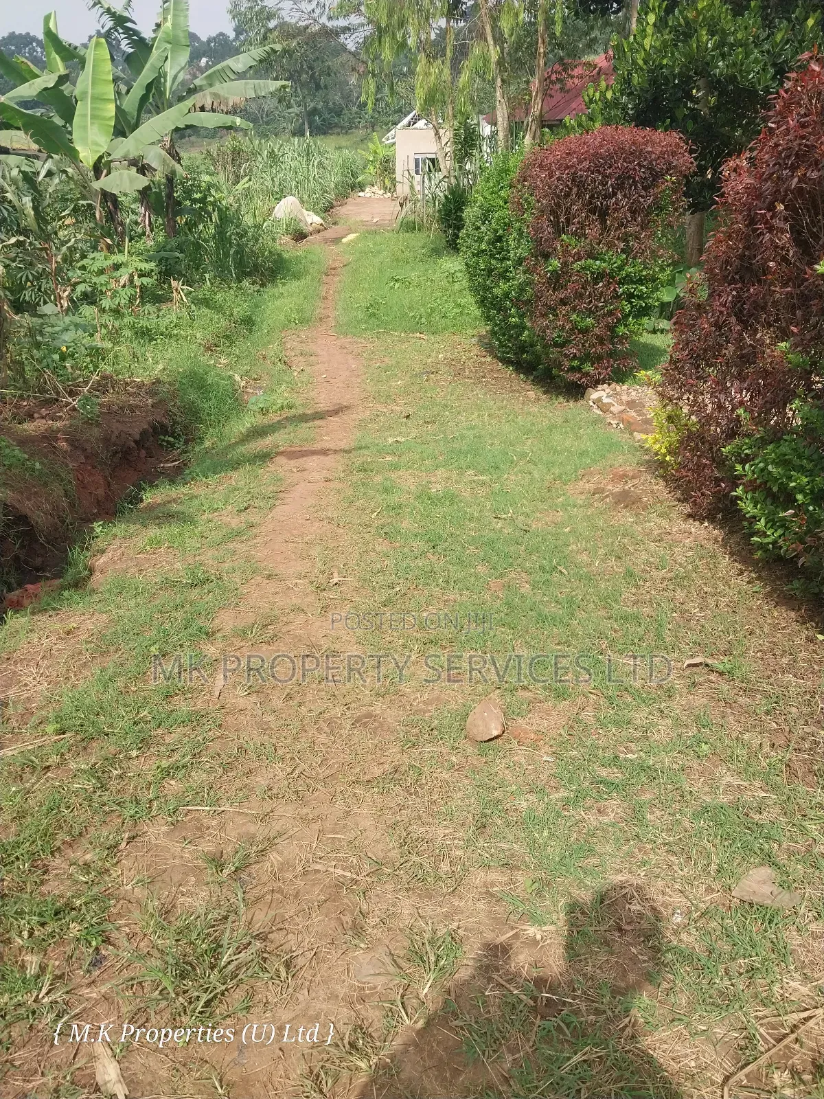 Quick Sale Plot in Matugga Kavule
