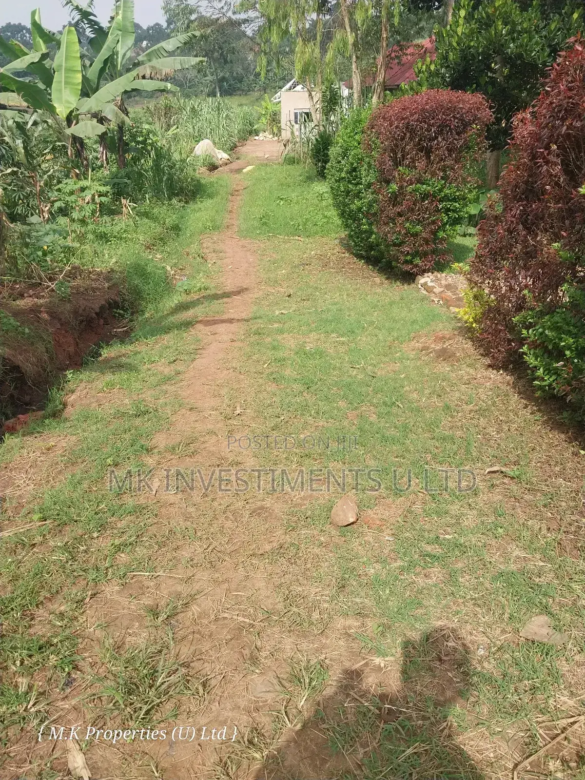 Quick Sale Plot in Matugga Kavule