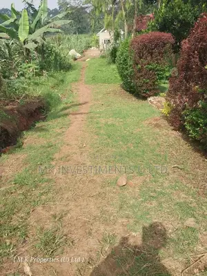Quick Sale Plot in Matugga Kavule