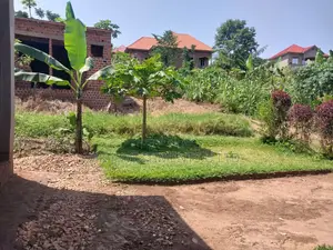 Quick Sale Plot in Matugga Kavule