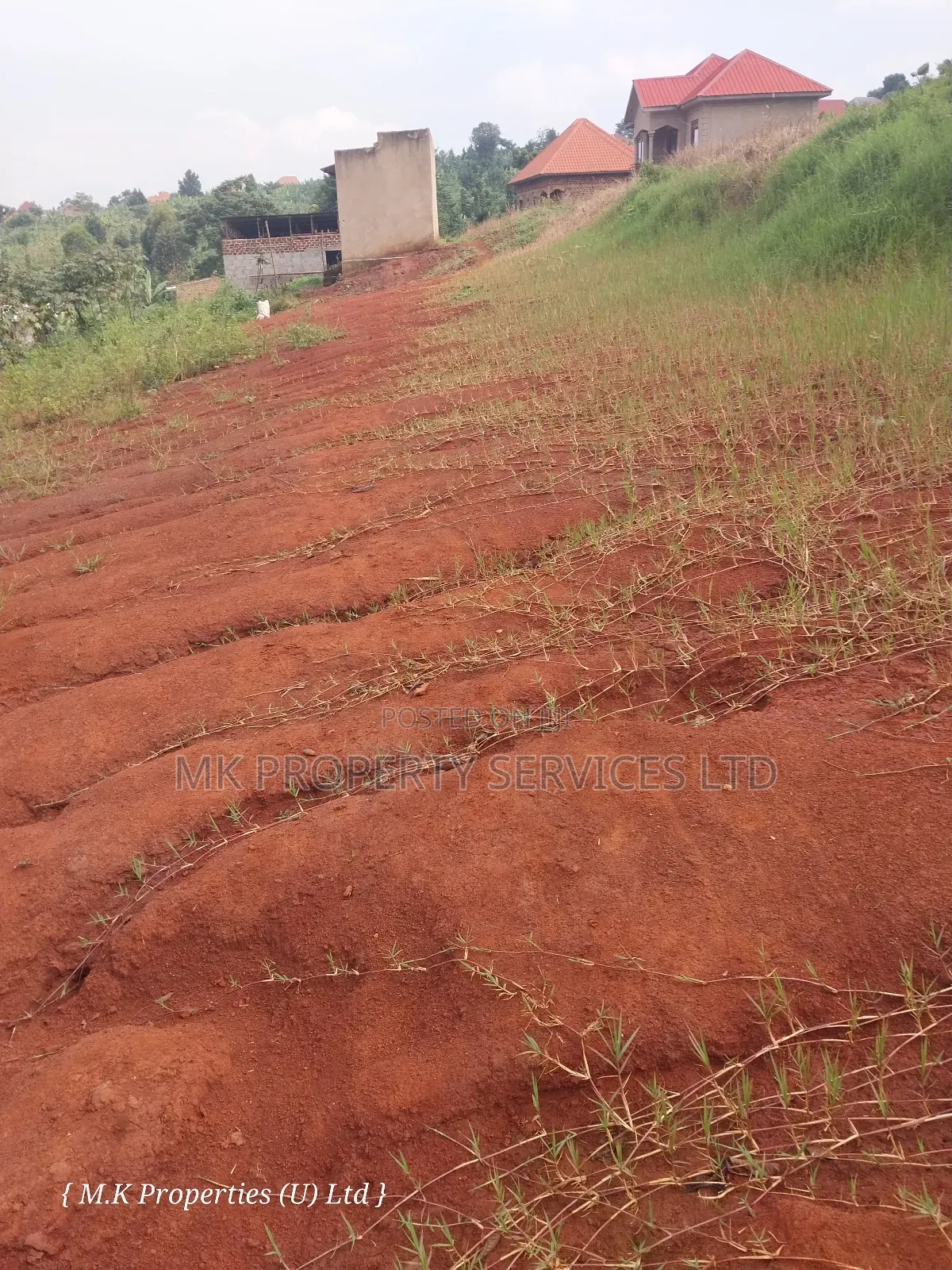 50*100 Ft Titled Plot