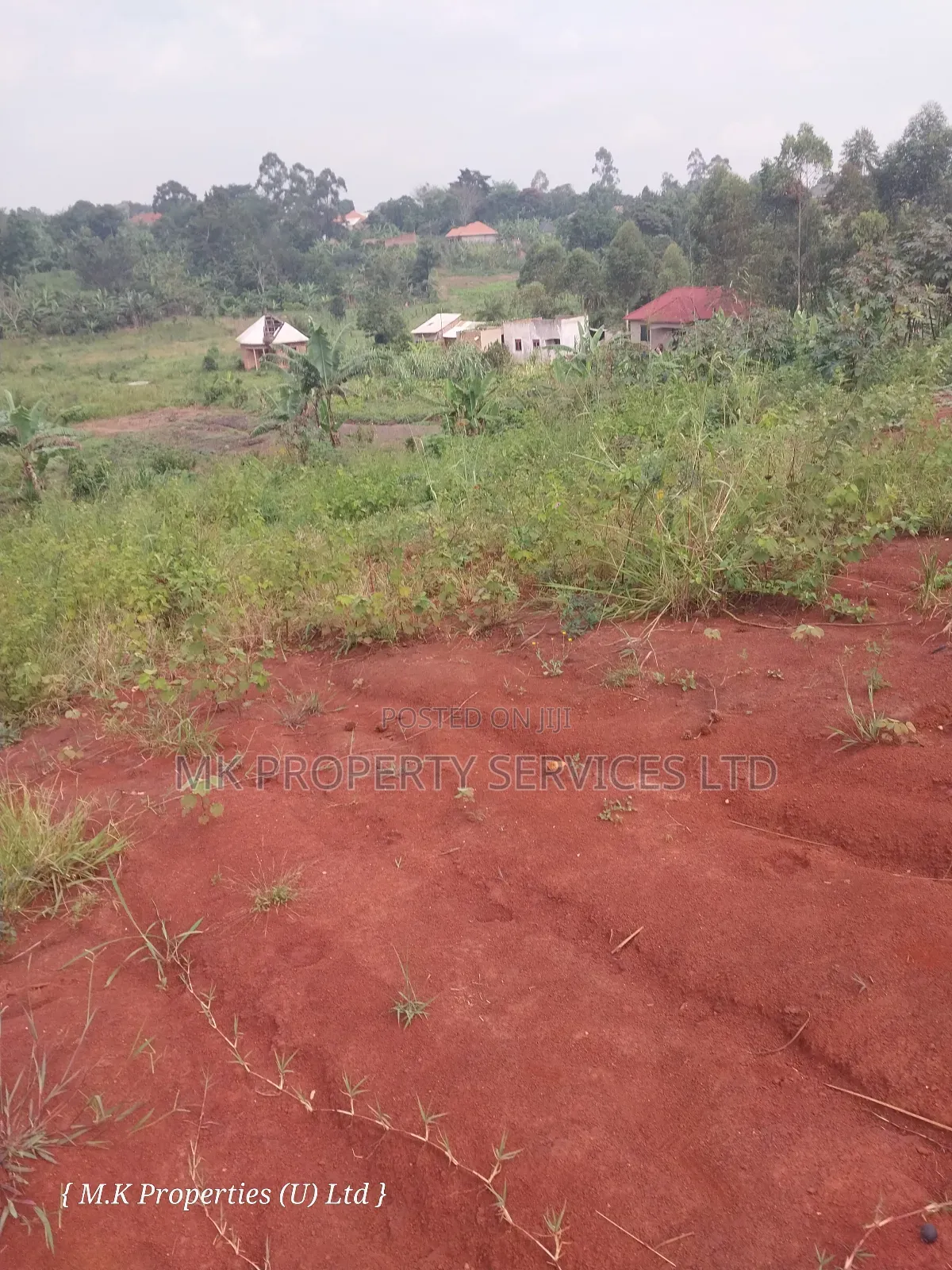 50*100 Ft Titled Plot