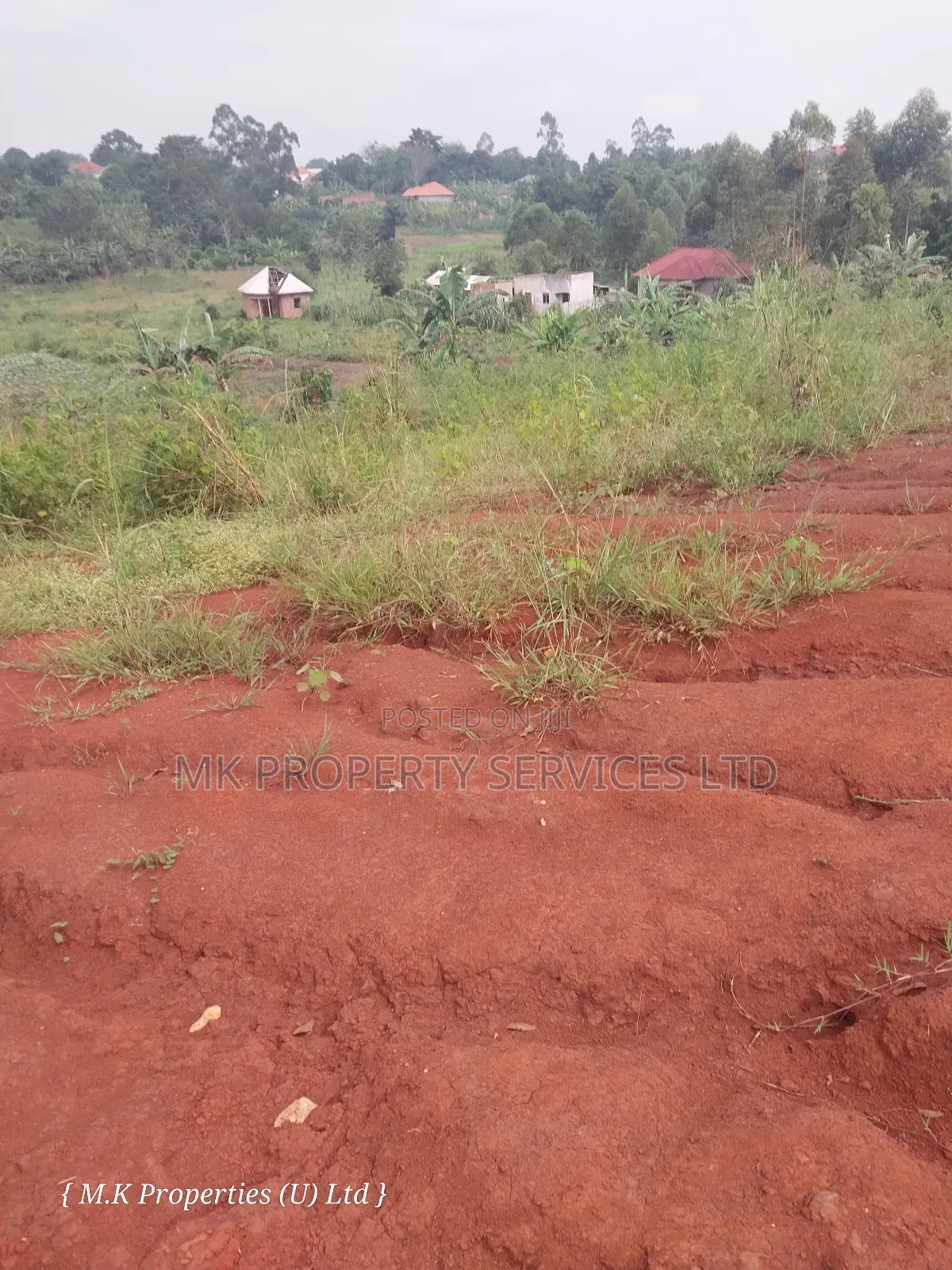 50*100 Ft Titled Plot