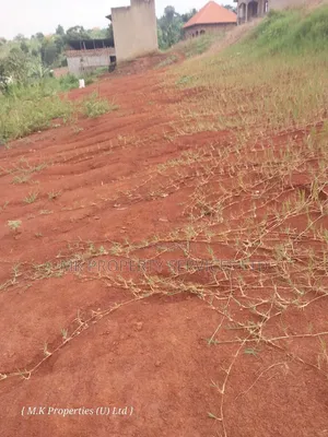 50*100 Ft Titled Plot