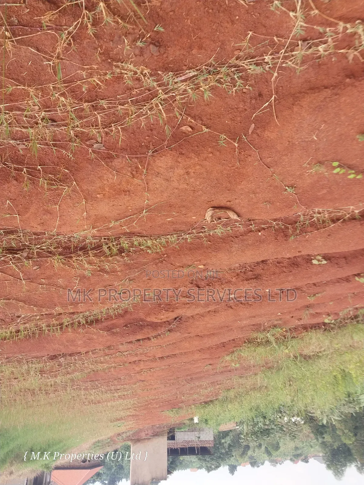 50*100 Ft Titled Plot