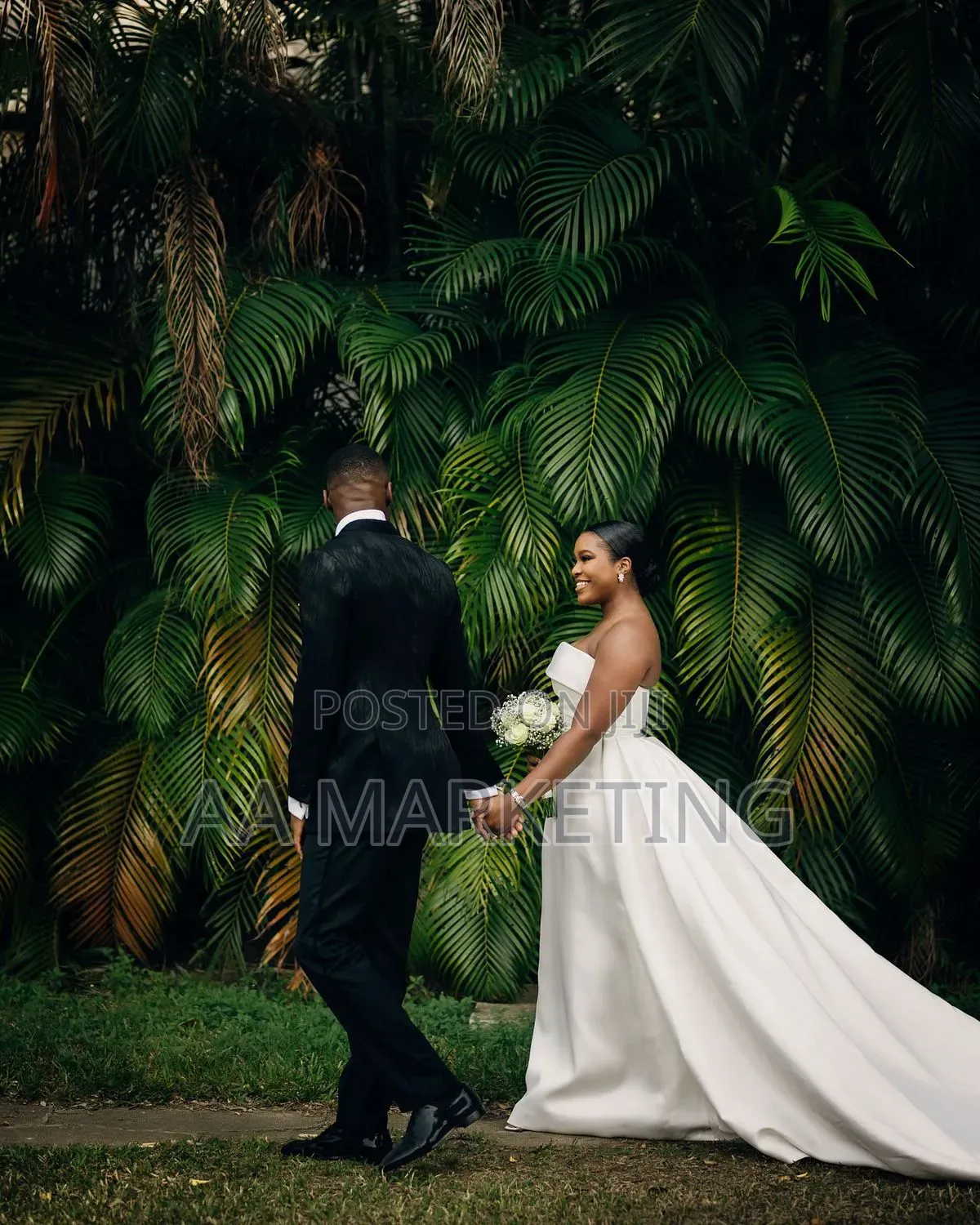 Photography and Video Graphics