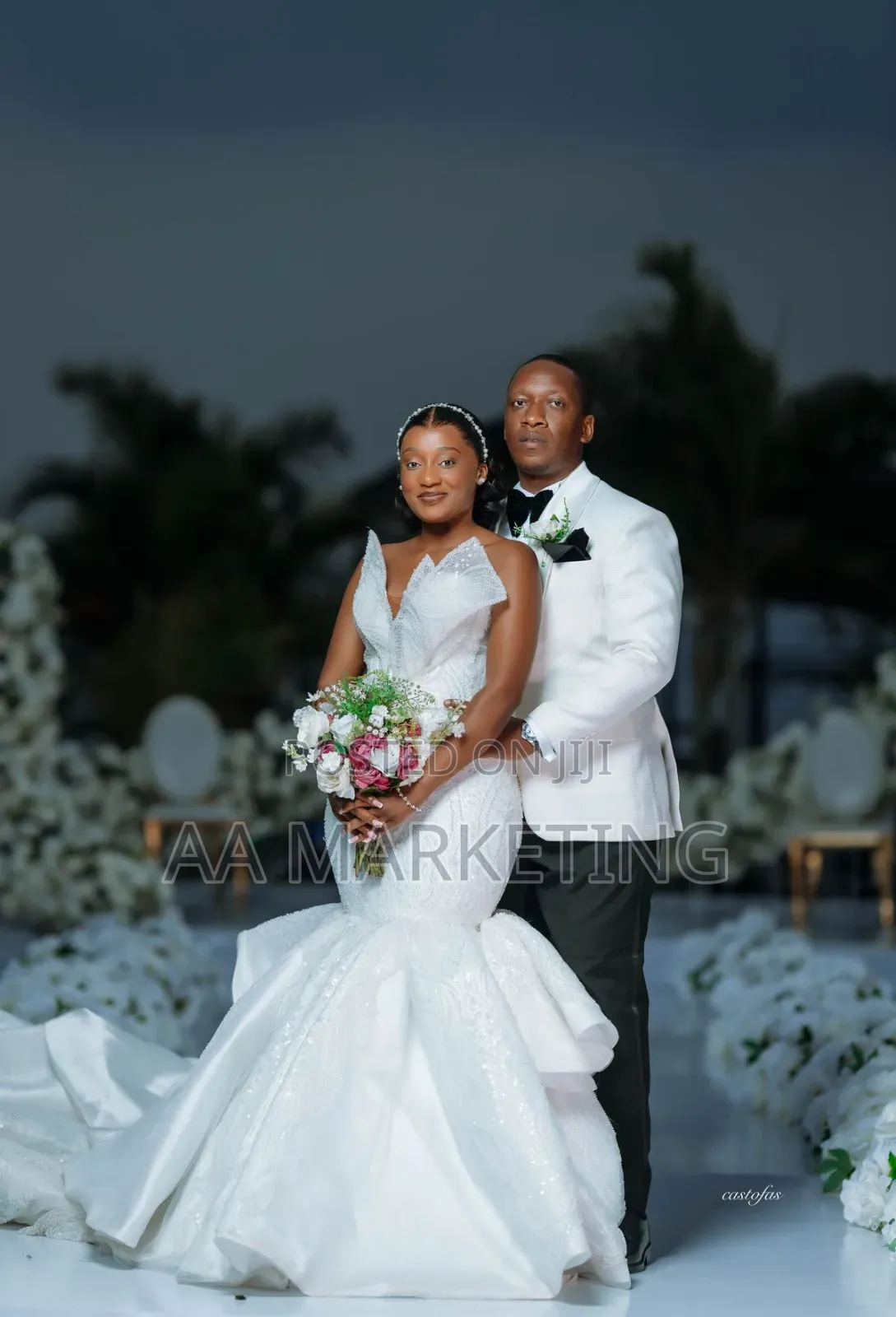 Photography and Video Graphics