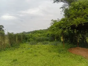 200 Hectares in Mubende District