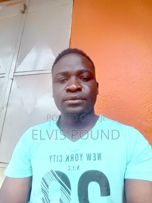 Electrical Engineer