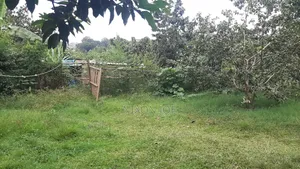 Bamba Plot for Sale Near Twin Brook SCH