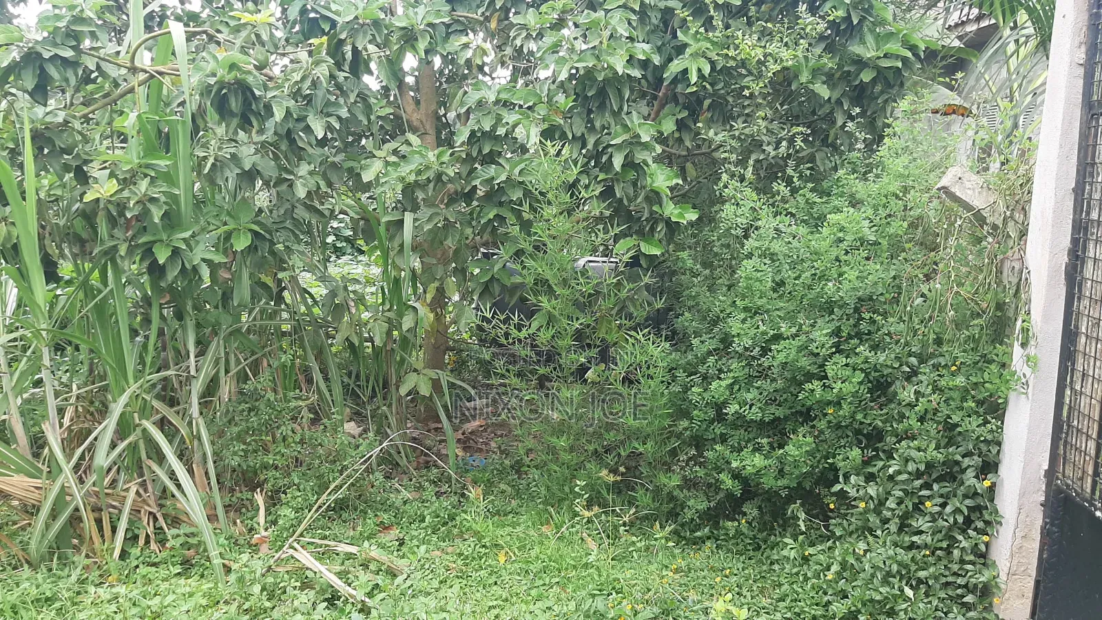 Bamba Plot for Sale Near Twin Brook SCH