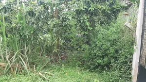 Bamba Plot for Sale Near Twin Brook SCH