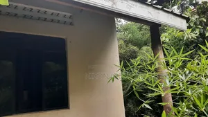 Bamba Plot for Sale Near Twin Brook SCH