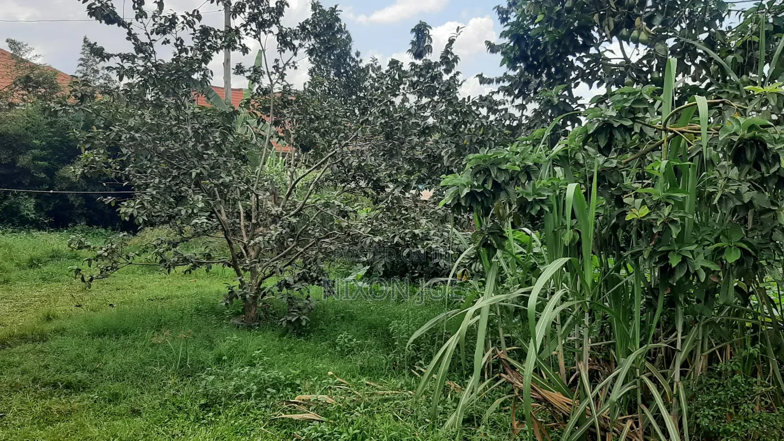 Bamba Plot for Sale Near Twin Brook SCH