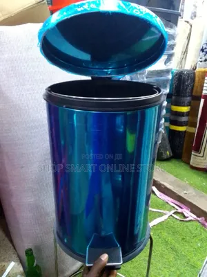 20 Litre Stainless Step on Dust Bin