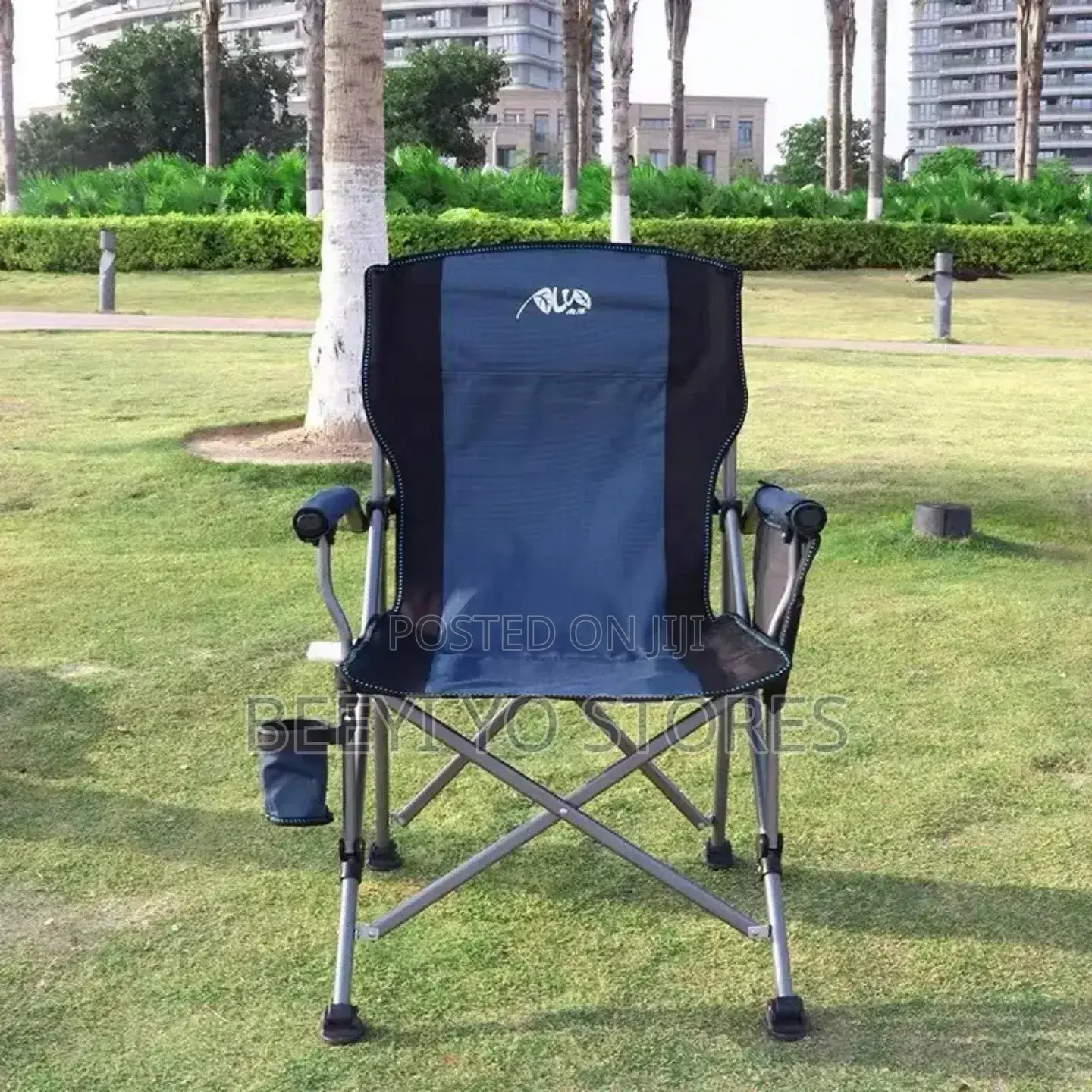 Portable Folding Camping Chair