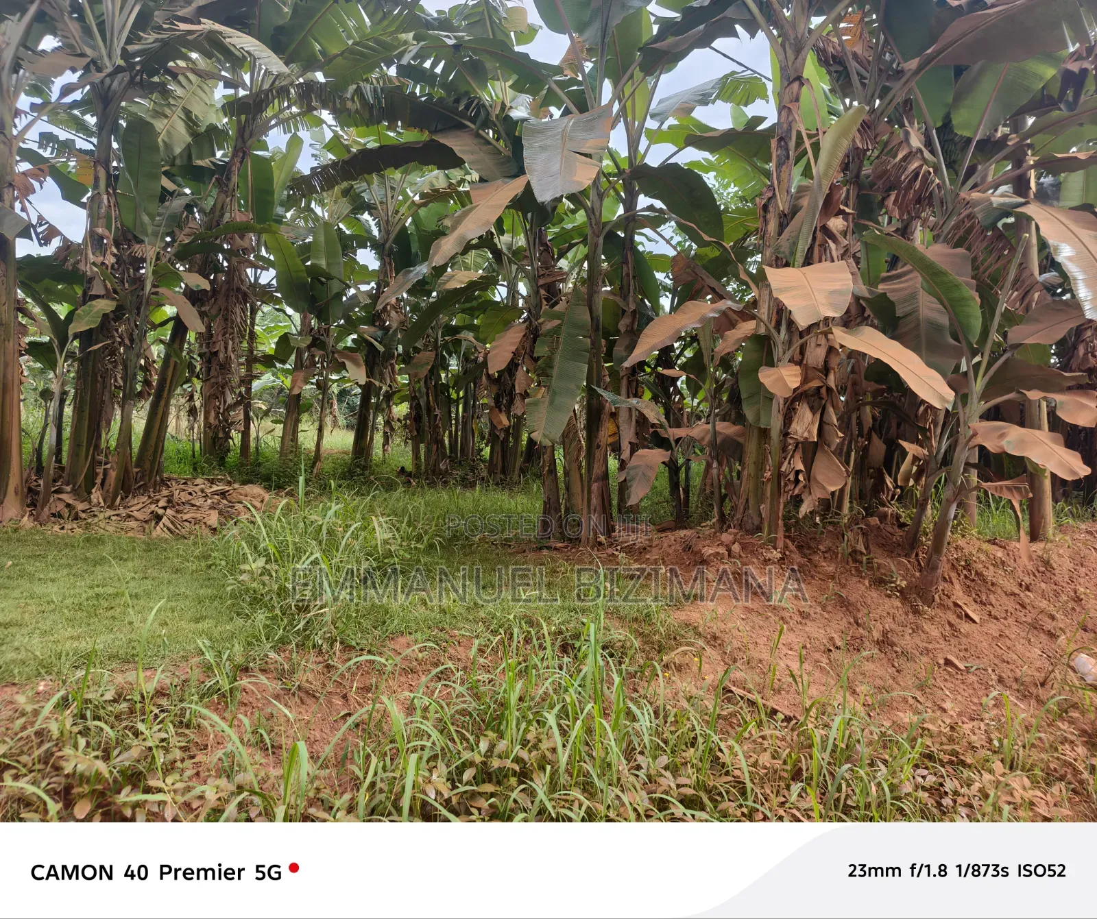 Commercial Land for Sale in Kira Town