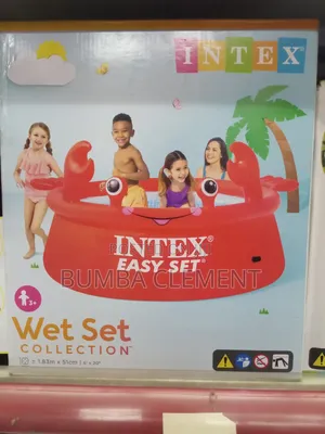 Intex Easy Set