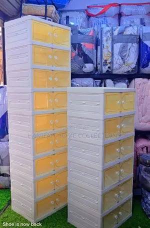 Enclosed Shoe Shelves