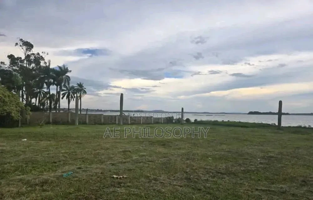 2 Acres of Lakefront for Sale