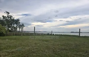 2 Acres of Lakefront for Sale