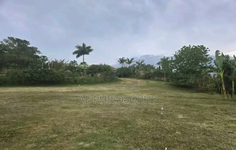 2 Acres of Lakefront for Sale