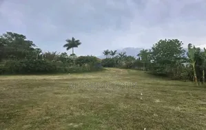 2 Acres of Lakefront for Sale
