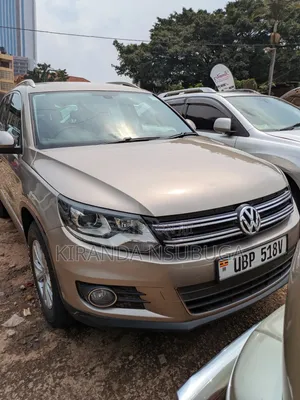 Volkswagen Tiguan 2014 Gold