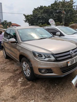 Volkswagen Tiguan 2014 Gold