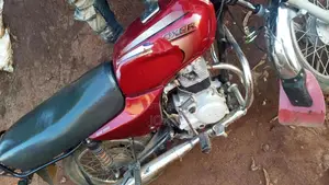 Bajaj Boxer 2024 Red